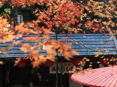 京都の散り紅葉　その１（高雄の神護寺）