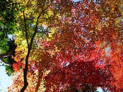 ２００８京都紅葉巡り　７　【 大山崎山荘美術館  】