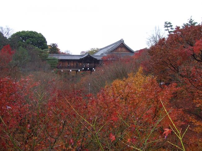 京都の紅葉を見に行ってきました。<br />もう一週間早ければ、もっと綺麗だったかな…<br />落葉が多かったけど、綺麗でした。<br />