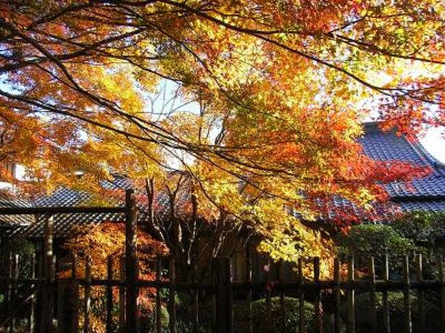 今年の紅葉も終盤に入った１１月の最終日曜日、<br />私たちは大津にある「石山寺」を訪れました。<br /><br />今年は「源氏物語」千年紀でとても盛り上がっていますが<br />石山寺は紫式部が「源氏物語」の想を練った場所なので<br />「源氏夢回廊」と名づけられたイベントを３月から１２月の<br />半ばまで開催していてとても賑わっていました♪<br /><br />境内はとても広く見どころも多く、紅葉も素晴らしくて<br />思っていた以上でした。<br /><br />イベントはちょっと拍子抜けしちゃったけど<br />団体客の方々が詰め掛けていて大盛況のようでした。