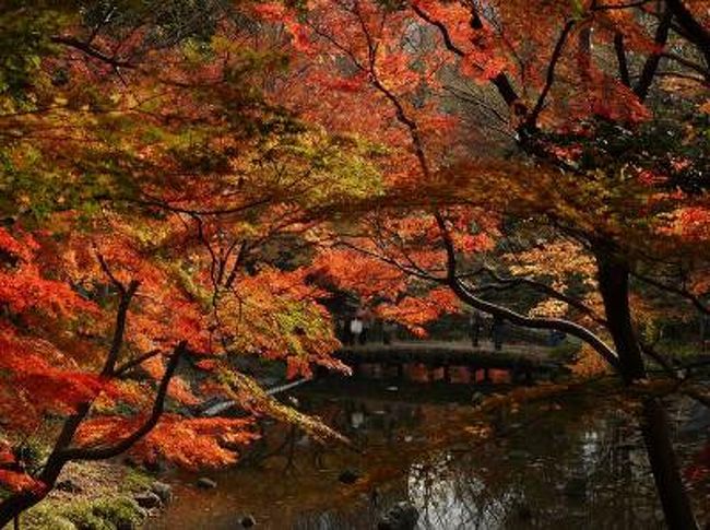 花菖蒲を見に行った時にガイドさんが絶賛していた小石川後楽園の紅葉。<br />都内ではなかなか京都みたいな雅びた雰囲気の紅葉にはお目にかかれません。大名庭園で代替してみました。<br /><br />ガイドさんの言う通り見事なものです。<br />今回は真っ赤な絵を中心に並べてみます。<br />ただ、午後から行ったので混んでいて、人の途切れるのを待って撮るなんてことは到底無理でした。<br /><br />都内の紅葉も今週がピークでしょう。結構たくさん撮りました。<br />園内の詳細については花菖蒲の旅行記をご覧下さい。<br />http://4travel.jp/traveler/weekendwalker/album/10248635/