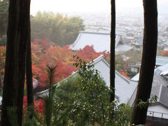 京都の紅葉、色々。