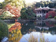 新宿御苑で紅葉・黄葉を満喫