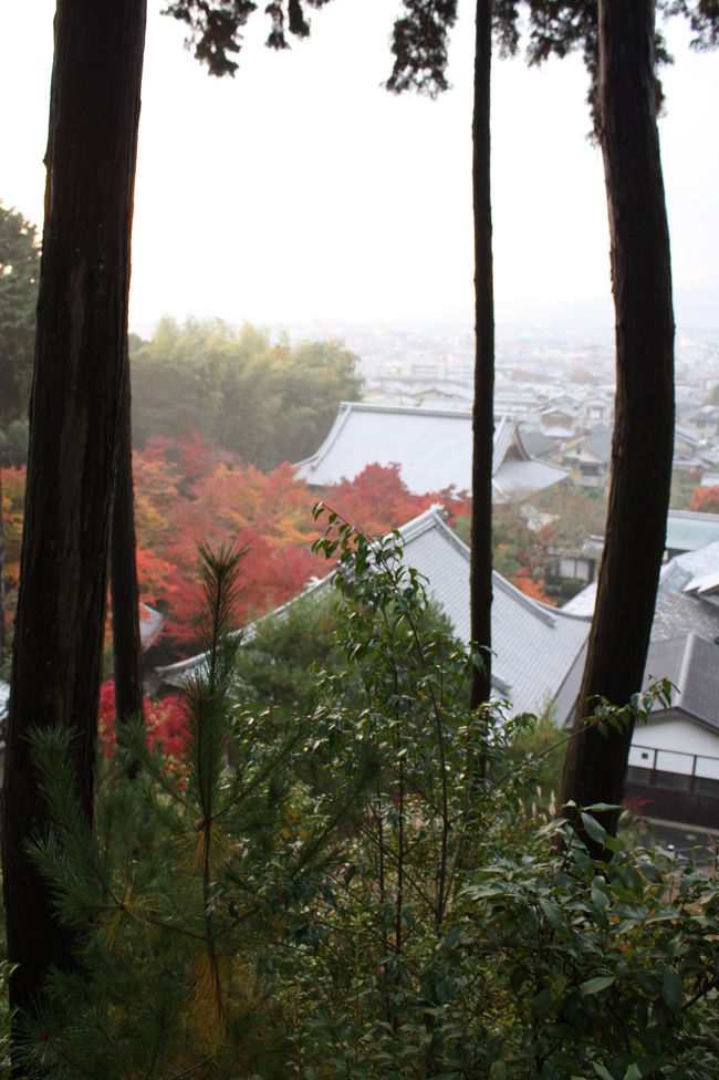 今秋赴いた、京都の紅葉を色々とご紹介。