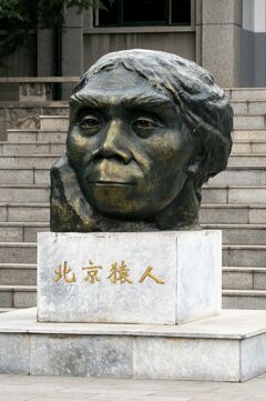 2008秋、中国旅行記15(37/37：補遺3)：周口店博物館、北京原人(猿人)、ジャワ原人