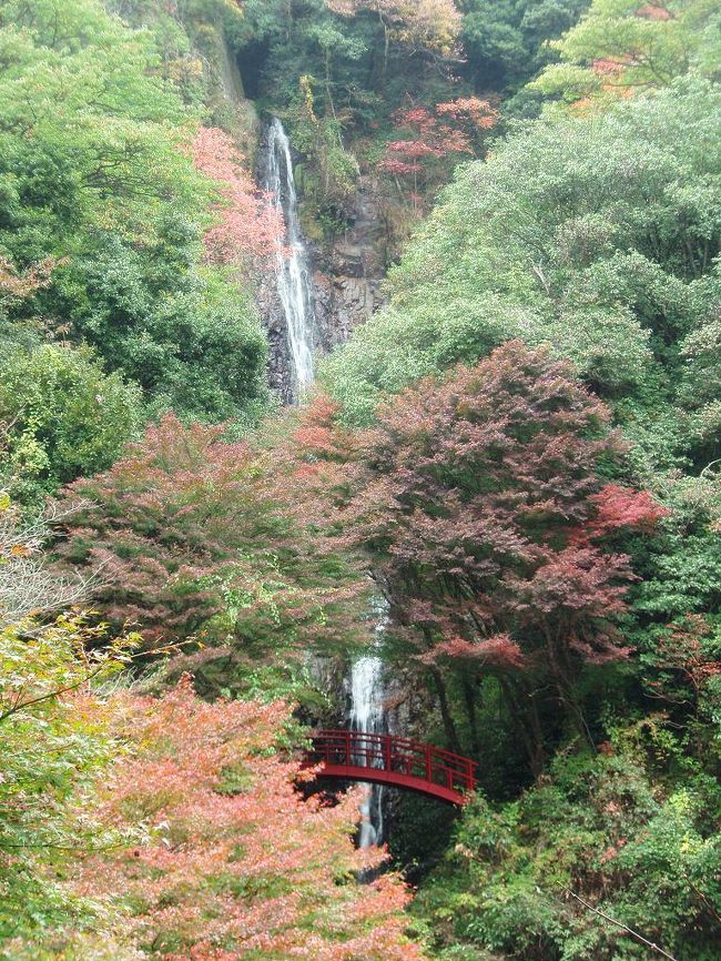 新シリーズ第一弾は岐阜県八百津町の五宝滝です。新シリーズといってもやっていることが変わるわけでなく、一つの区切りというか、まあ自己満足ですわ。<br /><br />なんで岐阜県まで出かけたかというと、この翌日に滝コミュオフ会で根尾の滝に行くことになっているからで、行く途中にある楽そうな滝を選んだということです。<br /><br />さて、五宝滝ですが、三段からなる一の滝、二の滝、三の滝と二天の滝、円明の滝の５つの滝を総称しているようです。周辺は五宝滝公園として遊歩道などが整備されており、滝のロケーションとしてはやや観光化されすぎのきらいはあります。それでも極端に開発されているわけではないので許容範囲内ではありますね。<br /><br />本シリーズからは私の主観で滝見難易度を示したいと思います。<br /><br />五宝滝滝見難易度：３（５つの滝すべてを見学）<br /><br />参考  滝見難易度０：道路から見える、１：片道徒歩５分以内、２：片道徒歩１５分以内、３：片道徒歩３０分以内、４：片道徒歩１時間以内、５：片道徒歩２時間以内、６：片道徒歩２時間以上もしくは２時間以内でも特別な装備が必要な場合など。難易度５、６は私の旅行記ではほとんど出現することはないと思われる。<br /><br />注意  滝見難易度はあくまで私の主観によるものであり、また季節や天候により難易度が上がる場合もあります。私の旅行記を参考にされて、「話がちゃうやんけ」とおっしゃられても責任は負えませんのでご了承ください。また、難易度が高い場合はできる限り単独行は避けるようお願いします。