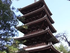 初秋の京都ひとり旅[2]枯山水に憧れて---仁和寺～龍安寺～妙心寺
