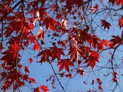 師走　奈良　京都行ー１　京都　八瀬　紅葉