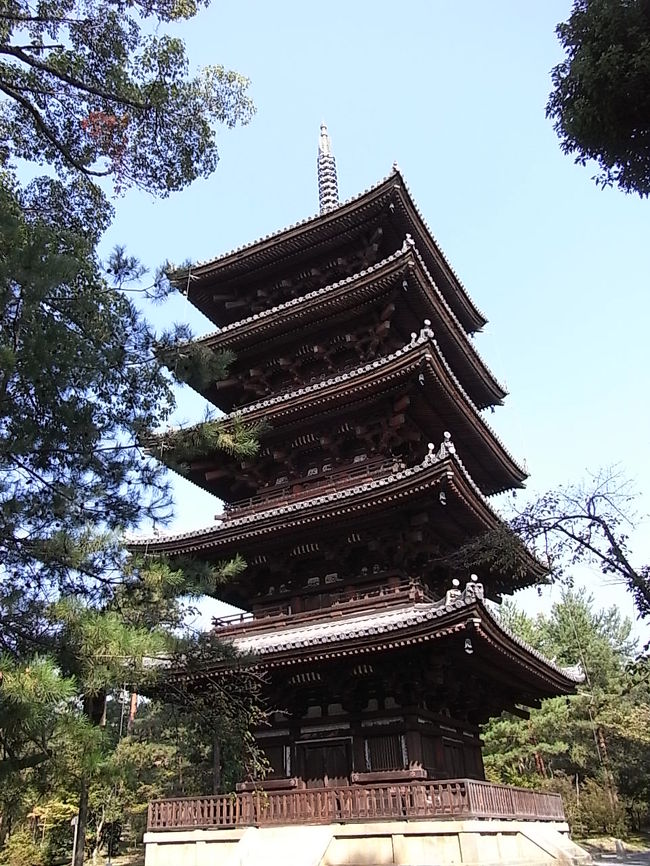 初秋の京都ひとり旅[2]枯山水に憧れて---仁和寺～龍安寺～妙心寺