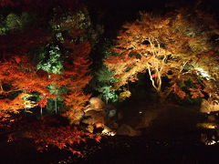 天龍寺塔頭　宝厳院　室町時代の名園♪