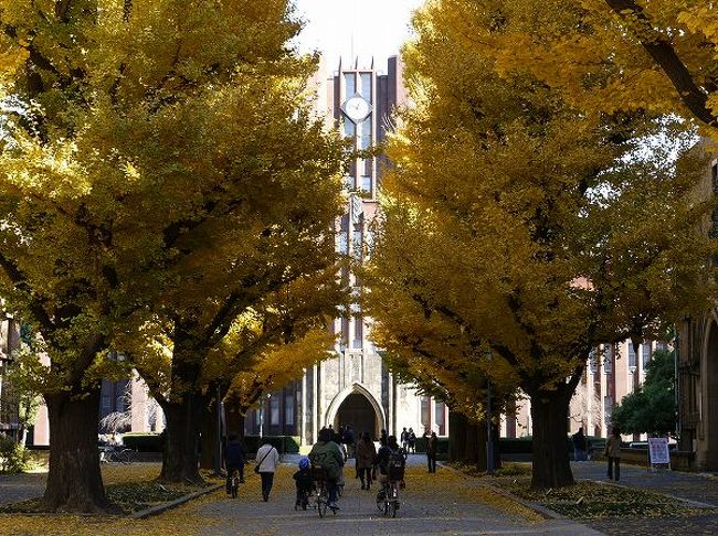 都内の銀杏並木の人気スポットは神宮外苑でしょう。次いで昭和記念公園か?<br />でも、隠れた名所は本郷の東大構内で、ここが以前からお気に入り。<br />大学の構内なのでそんなに混まないのも良いです。来ている人たちも公園感覚です。<br /><br />銀杏並木だけでは物足りないので周辺散歩。<br />上野に出るか、根津から谷中に回るか、東大を起点にするといろいろ選択肢があります。今回は久しぶりに本郷界隈を歩いてきました。<br />一葉、啄木など縁りのスポットがあったり、文学散歩の定番コースです。<br /><br />紅葉が終わると春までは街歩きくらいしか楽しみはありませんが、結構奥が深くて面白いものです。