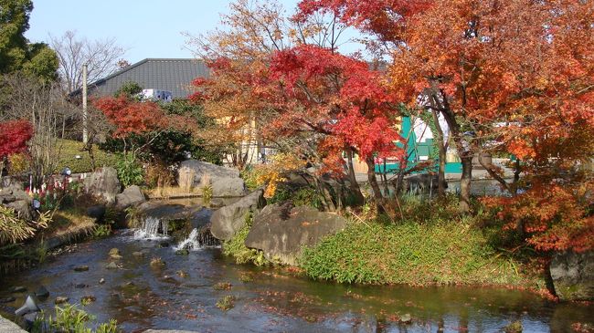 鏡池から一度大きな中心の池から離れ、入場門の近くまで戻ってから、教会まで行き、再び大きな池の真ん中に出ている桟橋のような所まで行きました。