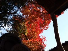 師走　奈良　京都行ー３　上高野　崇道神社　蓮華寺