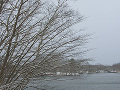 函館・南北海道モニターツアー・４ ～おいしいランチとわかさぎ釣り