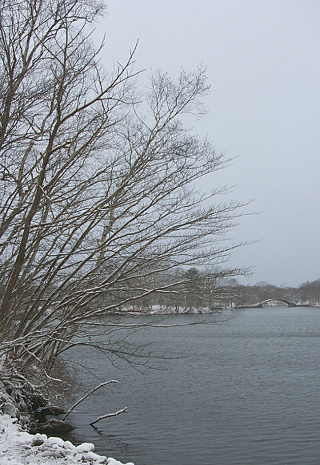 函館 南北海道モニターツアー ４ おいしいランチとわかさぎ釣り 北海道の旅行記 ブログ By 茶柱たつこさん フォートラベル