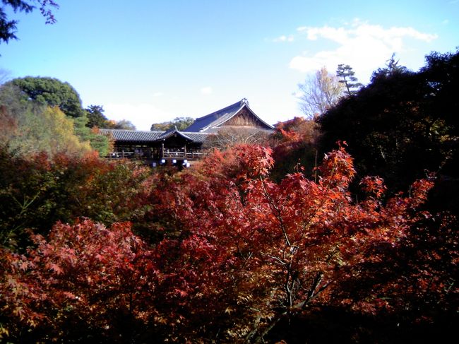 滋賀県に住んでいる友達と紅葉を見に行きます。<br /><br />場所は京都駅から近いという理由で東福寺を選びました。<br /><br />女３人・紅葉をめでる旅。<br /><br />はじまりはじまり〜。<br />
