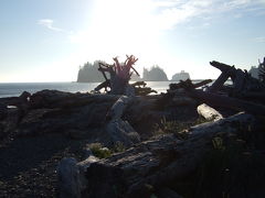 Olympic National Park?