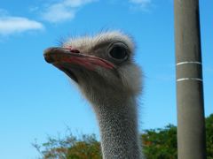 沖縄本島☆オフシーズンでさらに人のいない所？?北部編