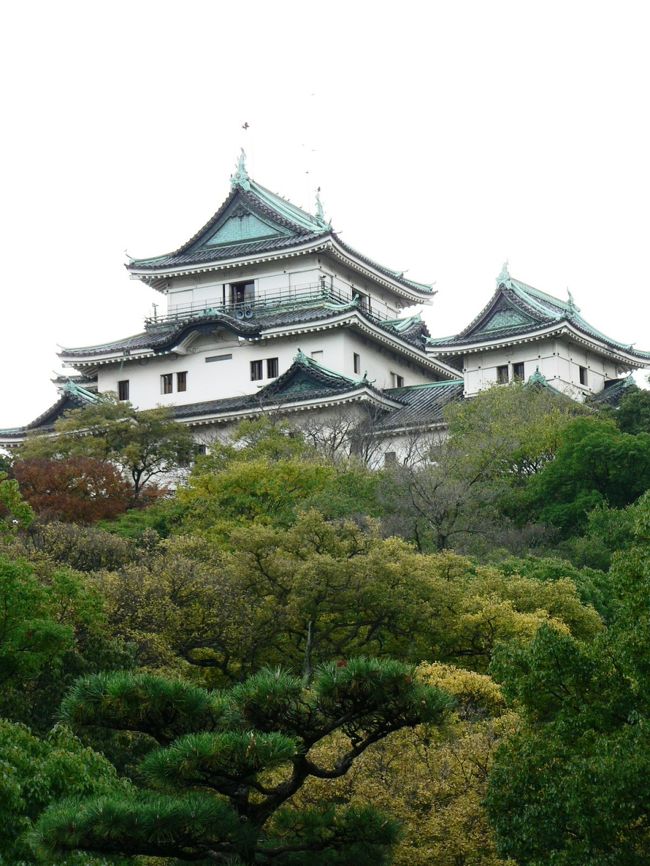 和歌山城は、享保の改革(きょうほうのかいかく)を断行した8代将軍徳川吉宗(とくがわ よしむね1684−1751年)、公武合体政策で1862年に和宮(かずのみや1846−1877年)と結婚したが早世した14代将軍徳川家茂(とくがわ いえもち1846−1866年)らを輩出した紀州徳川家の居城だ。1995年のNHKの大河ドラマ「八代将軍吉宗」、2008年の「篤姫(あつひめ)」に登場した徳川家茂などで和歌山城一帯が全国に知られるようになっている。和歌山城は標高50mほどの、海上から見ると猛虎が伏している姿に似ているといわれる虎伏山(とらふすやま)に本丸、二の丸、三の丸が配されていた。海に近い平地の中の丘に築かれた平山城(ひらやまじろ)で「虎伏山竹垣城」とも呼ばれている。本丸と二の丸一帯が1901年開設の和歌山公園にあり、本丸の周囲には護國神社、和歌山公園動物園などがあり市民の憩いの場所にもなっている。公園内には重要文化財の岡口門と土塀、追廻門(おいまわしもん)が焼けずに残っているが1945年の和歌山大空襲で城のほとんどが焼失、破壊された。戦後1958年に天守閣まわり、1983年に大手門や一之橋が復元され、2006年には日本100名城に指定された。名門、紀州徳川家の城だけあってどの方角から見ても風格ある美しい天守閣だ。(写真は二の丸御殿跡から見る和歌山城天守閣)