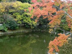 日本の旅　関西を歩く　和歌山城庭園の光景