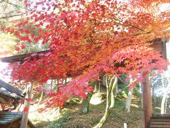 −−【愛知】定光寺さわやかウォーキング