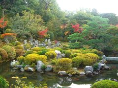 紅葉の古都　京都（洛西：等持院）