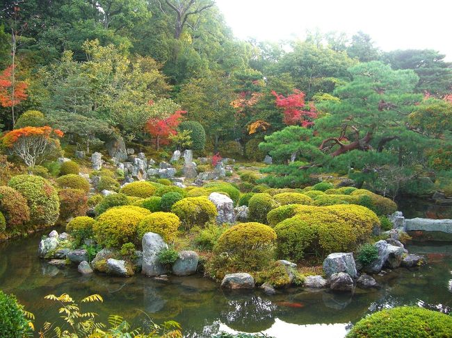 等持院(とうじいん)<br /><br />臨済宗天龍寺派の禅寺。<br />１３４１年に足利尊氏が天龍寺の夢窓国師に頼んで衣笠山の南麓に創建される。<br /><br />足利将軍家の菩提所で応仁の乱の戦乱に見舞われたが、豊臣秀頼によって再建。<br /><br />足利１５代、２３０余年の貴重なお宝が保存され、等持院の一部では撮影不可になっている。<br /><br />交通案内 市バス５０番　立命館大学正門前下車　徒歩約１０分<br />京福北野線　等持院駅下車　徒歩約１０分 <br />拝観・開館時間 ８:００〜１７:００ <br />拝観料金 　５００円<br />（抹茶代　別途５００円）　　<br /><br />電話（０７５）４６１-５７８６<br /><br />◆◆◆comevaの紅葉マップ◆◆◆<br />http://waiwai.map.yahoo.co.jp/map?mid=6rGrC3PEmNGJX5W6e.CDezPy7FjltnhBeQ-- 