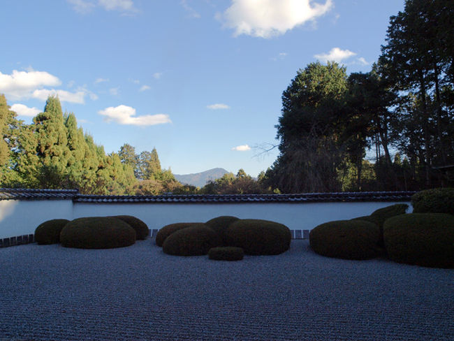 冬の晴れた日、風も無く、京都の洛北西賀茂辺りは、ひっそりとしていました。神光院前のバス停から歩いて、5,6分の所にあります。<br />訪れる人も今は少なく、誰もいない広縁に座って、ただ静けさと暖かい日差しに、幸せを感じていました。<br />ここ正伝寺は、鎌倉時代に来朝した宋のごつ庵普寧禅師の法を継がれた東巌慧安禅師によって創設された。<br />江戸初期に小堀遠州によって作られた獅子の児渡し庭園は、白砂敷平庭でサツキの刈り込みによって、七五三調を表現した枯山水で正面に見える比叡山の霊峰を取り入れた借景庭園。<br />方丈は、伏見城にあった遺構、御成殿で承応ニ年ここに移され、本堂としたそうです。故に、方丈の広縁の天井は、関ヶ原の戦いの直前、伏見城に立て篭もった徳川方千二百余命が落城の際、割腹した廊下の板を使ったもので、血天井として有名です。<br />この後、玄琢へ向い、常照寺、源光院、光悦寺と周りました。