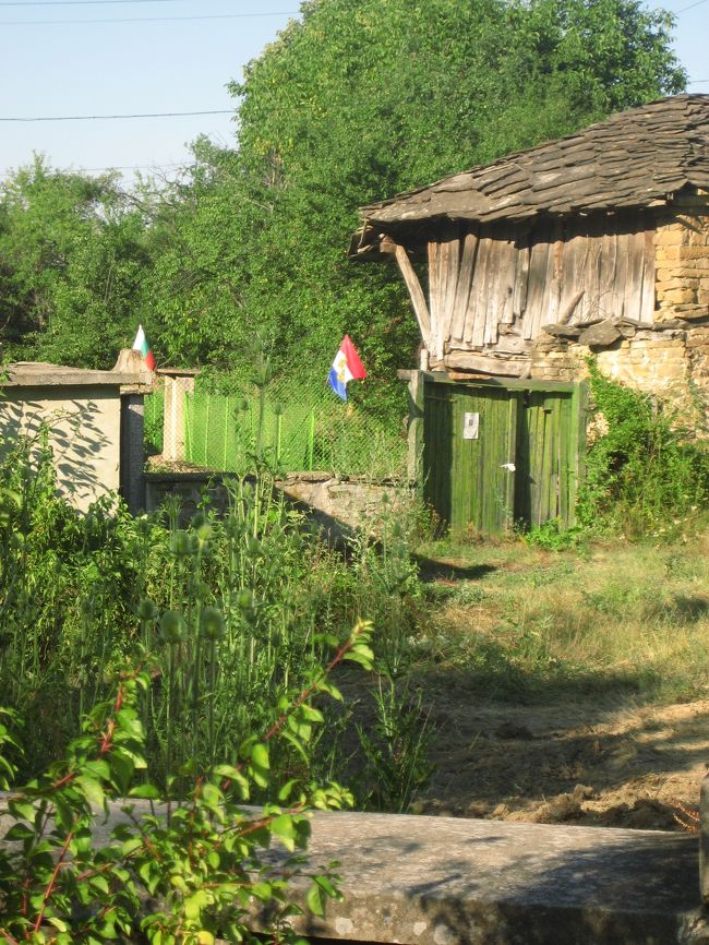 地図にも載っていないというバルバンツィ村に別れを告げた後、ドリャノヴォ僧院見学の前に、先にペイナ村のペンションにチェックインしました。<br />ガイドとドライバーはバルバンツィ村のご家族の週末の家に泊まるので、ペイナ村のペンションに泊まるのは私ひとりです。<br />久しぶりに過ごす一人の夕べ。<br />であれば、夜９時すぎまで明るい夏の日の長さの恩恵を利用して、夕食の前に１人散策でも楽しみましょうか。<br /><br />ここペイナ村も人口が10人しかいないというバルカン山中の小さな村です。<br />1軒だけあるペンションが、19世紀の古いブルガリアの民家のスタイルを残した、まさにそこに泊まるのがペイナ村の観光になるような、すばらしい民宿でした。<br />実は、そのペンションに向かう唯一の舗装道路が、上下水道工事で通れませんでした。<br />ドライバーは仕方なく、舗装されていない反対側の道からペンションに向かいましたが……いやはや、その砂利道のぼこぼこなこと！<br />車は上下に大揺れに揺れ、タイヤが傷まないか心配になりました。<br />（実際、翌日、ガイドと私がエタル野外博物館を見学中、ドライバーはタイヤ交換しに行っていたとのこと。原因はこの砂利道だけではなかったかもしれませんが@）<br />しかし、その車窓の外に並ぶ村の様子は、ずっと塀が続いて家の中まで容易には覗けなかったものの、バルバンツィ村以上に寂れて見えて、私のブルガリアに抱くステレオタイプの理想そのものの村でした@<br />これは撮影散策をしないわけにはいかないでしょう。<br /><br />ペイナのペンションには、ちょうどソフィアの画家グループが宿泊していました。<br />グループの中にはファミリーもいて、幼稚園児くらいの男の子と、まだよちよち歩きの女の子もいました。<br />村をひととおり散策した後、部屋にこもらず、民芸品の並ぶ庭先でコーヒーを頂きながら日記をつけたりしながらのんびり過ごしました。<br />そのとき、その画家グループの１人から声をかけられました。<br />今日は私の誕生日で、今晩パーティがあるので、良かったら参加して、一緒に誕生日を祝ってくれませんか、と。<br />パーティ自体は、喫煙者が多くて煙かったのと、私は夕食をすでにいただいていたのでほとんど何も食べられなかったのと、みなさん英語はカタコトだったのであまり会話が進まなかったのが残念でしたが、可愛いな、と観ていた男の子と遊ぶことができました。<br />言葉が通じなくても十分でしたから。<br />いや、でも、同じ年頃の姪を思い出すと、日本語を話しているはずなのに姪の言葉は時々知らない外国語に聞えましたから、日本人の子であろうとブルガリア人の子であろうと関係なかったですネ。<br /><br />ペイナ村のペンションの写真は、ハイライト集にまとめました。<br />こちらの旅行記の前半の写真15枚がそうです。<br />「2008年ブルガリア・ハイライトその13：ブルガリアで泊ったところ・その２」<br />http://4travel.jp/traveler/traveler-mami/album/10267147/<br /><br />そして、このペイナ村のペンションで飼われていた子ネコちゃんたちの写真も、ハイライト集にまとめました。<br />こちらの旅行記の最初の写真10枚がそうです。<br />「2008年ブルガリア・ハイライトその１：ブルガリアのネコちゃん」<br />http://4travel.jp/traveler/traveler-mami/album/10260520/<br />このペンションで子ネコちゃんたちを追い回して写真を撮ったのをきっかけに、このブルガリア旅行では、ネコの写真を積極的に撮るようになりました。<br />実際、イヌ・ネコは街中でもたくさん見かけましたしネ。