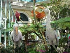 ラスベガス旅行記 　2日目