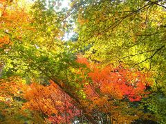 紅葉の古都　京都（奥嵯峨：宝筐院）