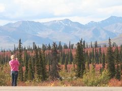 アラスカのドライブ旅ーその１　紅葉の大平原