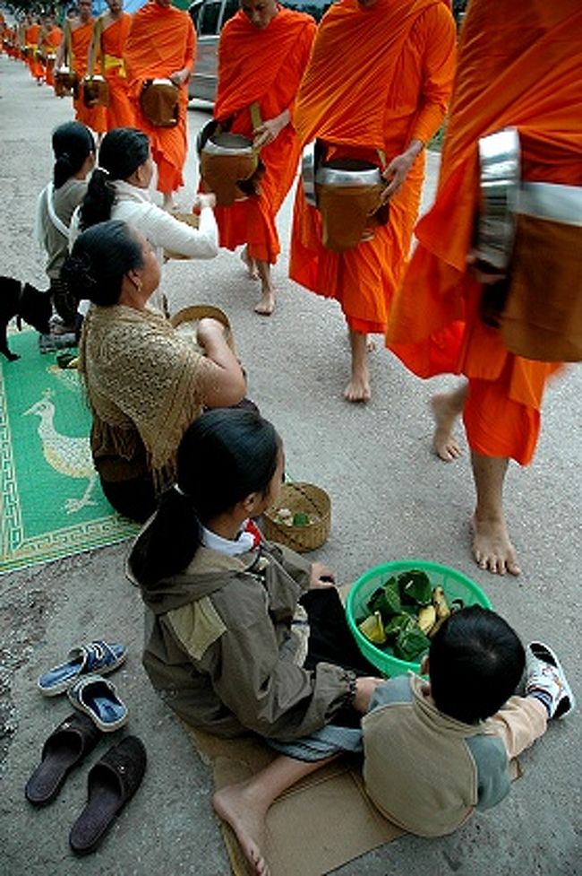 東南アジアの上座部仏教を信仰する国々では、２１世紀になった今も毎朝托鉢が行われている。<br /><br />ラオスもその中の一つの国。<br />世界遺産になった古都ルアンパバンの托鉢風景は、今回の旅で是非拝んでみたいと思っていたSUR SHANGHAI。<br /><br />托鉢と言うのは、修行に専念するために食糧生産活動には従事しない出家者たちが、身体維持に必要な最低限の食料を信者からの施しとして受ける事。<br />その托鉢の行為自体も一つの修行になっているとのこと。<br />そして、その施しをする信者にも功徳を積ませるという意味合いもあるのだとか。<br /><br />上座部仏教は、初期の仏教を釈迦の教え通りに純粋に保存しているらしい。<br />宗教について詳しくないSUR SHANGHAIで間違っていたら申し訳ありませんが、無限の輪廻を繰り返す「生」はすなわち「苦しみ」であって、その苦しみの原因の「心の執着」から解脱するためには、経典を学んで戒律を守り、瞑想修行しましょうという内容のようです。<br /><br />注：　上座部仏教は小乗仏教という名でも呼ばれたりしますが、これは大乗仏教の「大乗」に対して劣った教えという意味合いで付けられた名称ということで、今では蔑称であるとして使わないように決議されているそうです。<br />そのほか、上座部仏教はインドのマウリア朝アショカ王の時代に東南アジア方面に伝わったので、南伝仏教と呼ばれることもあるようです。<br /><br />さて、SUR SHANGHAIはルアンパバンの托鉢風景を求めて早朝の町に出てみます。<br /><br />表紙の画像は、ルアンパバンの道筋に延々と続く僧侶の列と、施しをする女性たち。<br /><br /><br />２０１０年１月追記：　４トラベルトラベラー唐辛子婆さんのヴィエンチャン旅行記にリンクしていただきました。<br />唐辛子婆さんの一連のラオス旅行記もぜひご覧ください。<br />『Laos　　ヴィエンチャン　ロングステイの下見旅　ホテルをとるのに苦労しました』<br />http://4travel.jp/traveler/tougarashibaba/album/10412600/