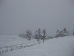 魅力満載！初めての道南の旅2日目～美味しいご飯と雪景色編～