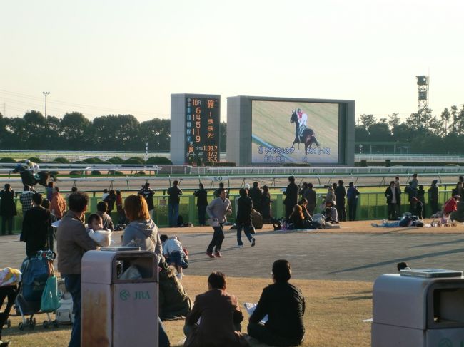 家から中京競馬場までお散歩。競馬は全くわからなく、興味もなかったので家から近いのに一回も言ったことがありませんでした。<br /><br />往復で約１万歩。昼下がりの散歩にはちょうど良い距離でした。