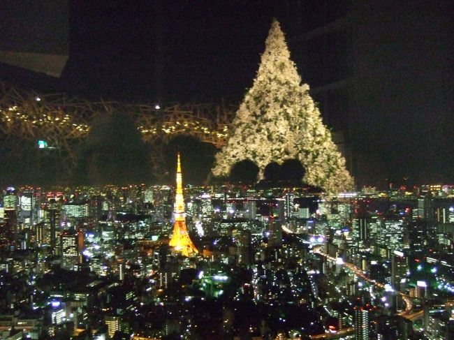 初冬の暖かい日に恵まれ久し振りに友と二人でバスツアーに参加。ランドタワーと横浜中華街を散策。<br /><br />その後、エビスガーデンにてビールを飲み夜のバカラシャの有名なシャンゼリアを堪能しました。<br /><br />さらにヒルズの屋上から東京の夜景を満喫してきました。<br />