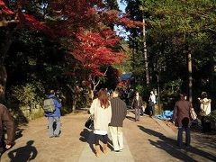 20081130　イザ鎌倉のハイキング
