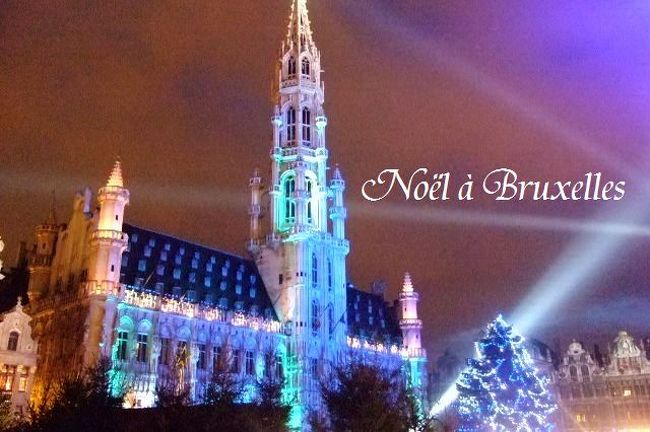 12月のとある土曜日。  <br />パリ北駅からタリスに乗って日帰りでブリュッセルへ。<br /><br />アール･ヌーヴォー建築巡りやグラン・プラスでの「音と光のショー」を堪能しました。<br /><br />まずはパリ北駅からブリュッセル南駅へ（9:25→10:47）、<br />到着後、すぐに、カトリーヌ教会周辺~グラン･プラスへ向かいました。<br /><br />その後、ルイーズ広場周辺へ行きアール・ヌーヴォー建築巡りを少々、<br />オルタ邸（美術館）見学後、また夜のグラン･プラスへ戻りました。<br /><br />タリスの乗車時間に余裕を持たせてブリュッセル南駅へ<br />（19:43→21:05）　予定どおりパリ北駅へ到着、という1日でした。<br /><br />ブリュッセルのノエルはとても華やかでした♪<br /><br />タリス（Thalys）<br />https://www.thalys.com/<br />ブリュッセル首都圏交通会社（STIB）<br />http://www.stib.be/<br />ベルギー観光局ワロン・ブリュッセル<br />http://www.belgium-travel.jp/<br />ベルギー観光局ワロン・ブリュッセル（アール･ヌーヴォー）<br />http://www.belgium-travel.jp/art/artnouveau.html<br />http://www.belgium-travel.jp/destination/by_theme/culture/artnouveau.htm<br />オルタ美術館（Hortamuseum）<br />http://www.hortamuseum.be/<br />プレジール・ディヴェール（Plaisirs d’Hivers）<br />http://www.plaisirsdhiver.be/<br />
