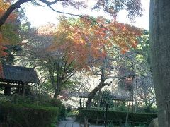 自然と、歴史と、お花のある瑞泉寺