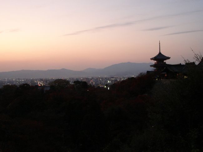 例年ならとっくに落葉の季節になっていた12月の京都、今年は少し季節がずれ込み、限られた場所ではありましたが、紅葉を楽しむことも出来ました。
