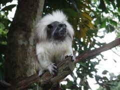 ■海外ぷち逃亡２■→シンガポール…３日目