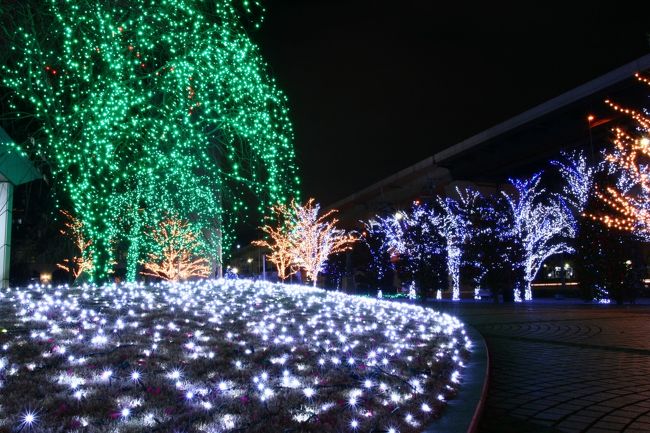 初冬の京都の色を頂いてきました。<br />今回はの冬都の色は、私には心残る旅となり、<br />自分の為にもアップします。<br /><br />急ぎ仕事をすませて、今回も新幹線に飛び乗り、<br />嵐山ライトアップ・Xmasイルミは終わったが、ここは残ってると、京都駅より直行で「京セラ本社｣へと走りました。<br /><br />どうせ行くなら、一度是非行って見たかった「京セラ本社｣、<br />未開の竹田駅へ、そしてバスに揺られて行きました。<br />途中どこまで行けばと、普段のライトアップ拝観とは少し違う雰囲気で、少し不安を抱きつつ参りました。<br />全く地理不案内でしたが、ちょうど京セラさんの退社時間と鉢合わせの様で、尋ねながら到着できました。<br />時期も時期で、他に観覧者も少なく、退社の方も気を遣って避けてもらえて、寒かったですが今回の心に残る、冬色都旅の第一歩を「京セラ本社・イルミ｣から、踏み出せました。<br />大晦日までやられる様です。<br />少女達の像もてつだってくれて、堪能させていただきました。<br /><br /><br />