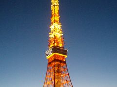 ５０歳の東京タワーに会いに来ました！！