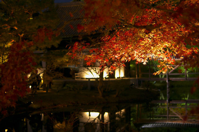 国内初の一人旅。<br /><br />何故か無性に寺巡りしたい衝動に駆られて<br />一泊二日で行ってきました。<br />たまにはそういう衝動に従ってみるのもいいかも（笑<br /><br />一日目<br />八坂神社→青蓮院→知恩院→安井金毘羅宮→圓徳院→高台寺→清水寺<br /><br />二日目<br />伏見稲荷大社→三十三間堂→永観堂→南禅寺→天授庵