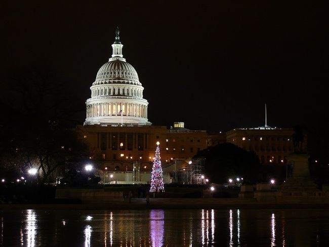 　ワシントンＤＣといえばアメリカの首都。首都といえば政治をつかさどる国会議事堂ではないかと思います。ということで、クリスマスツリーが飾ってある国会議事堂を見てきました。