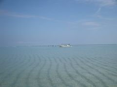 2008年10月与論島一人旅?「百合ヶ浜ふたりぼっち」