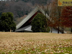 2008花フェスタ記念公園・年末