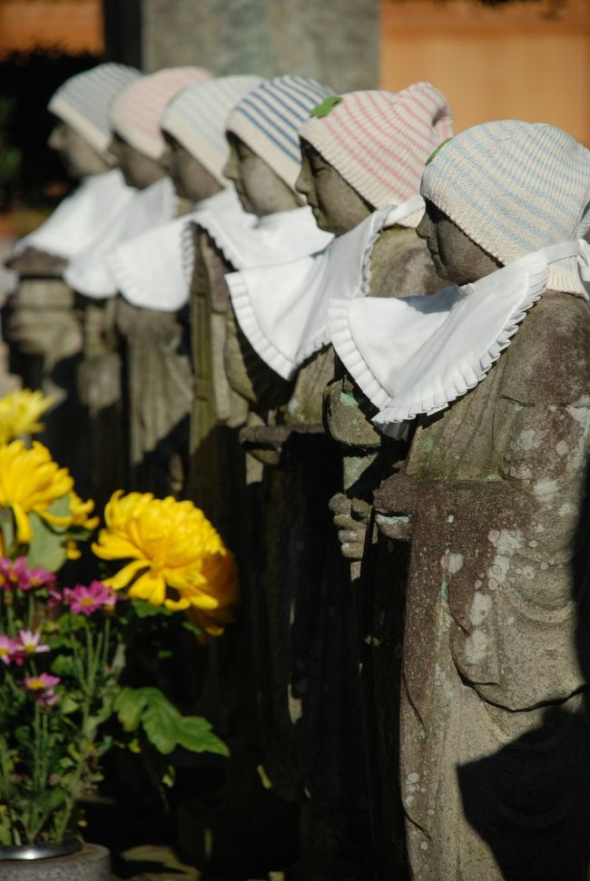 さいたま市西区にある清河寺を訪れました。<br />清河寺温泉や大宮花の丘農林公苑があることで有名な清河寺ですが、ここ数年、清河寺の近くに散歩で訪れます。<br />この日も晴れ渡る青い空がとても気持ちよくて、花の丘のちょっと先にある清河寺をほんの３０分ほど歩きました。<br /><br />自然豊かなこの地域にひっそりとある清河寺、周囲には県の指定天然記念物である清河寺の大ケヤキも少し離れた場所にあります。<br /><br />わざわざ清河寺を目当てに訪れる方はそうは居ないと思いますが、花の丘や清河寺温泉を訪れる際は是非、この自然美溢れ静かな清河寺を訪れて四季折々の花を楽しんでみてはいかがでしょうか。