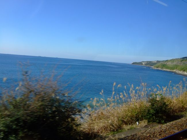 紀伊半島を南へ、普通列車の旅です。<br />途中駅での下車など、１８きっぷならではの旅を楽しみました。<br />みかん畑の広がる有田、美しく青い海…、和歌山は素敵なところです。