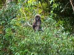 マレーシア　ランカウイ島旅行